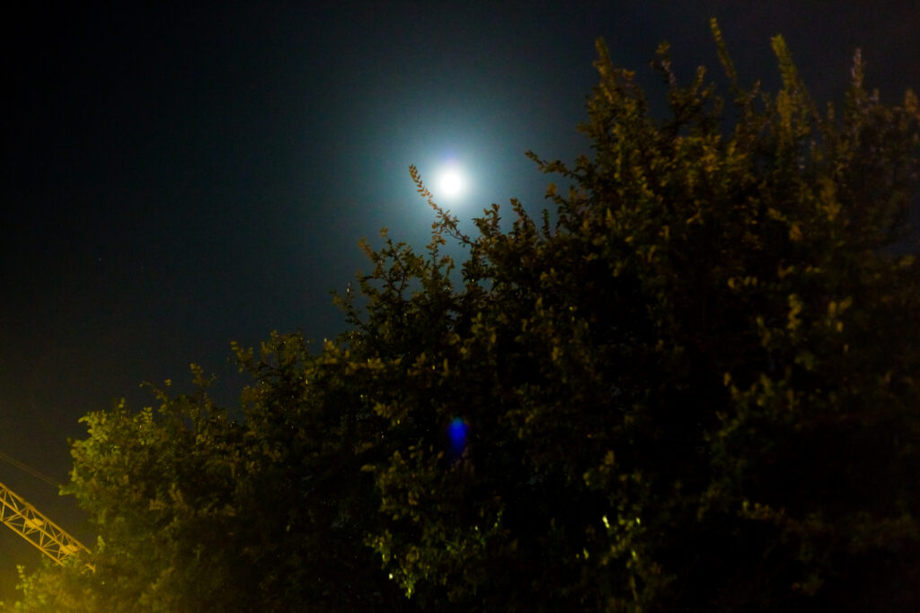 4c6a0718_14913108182_o