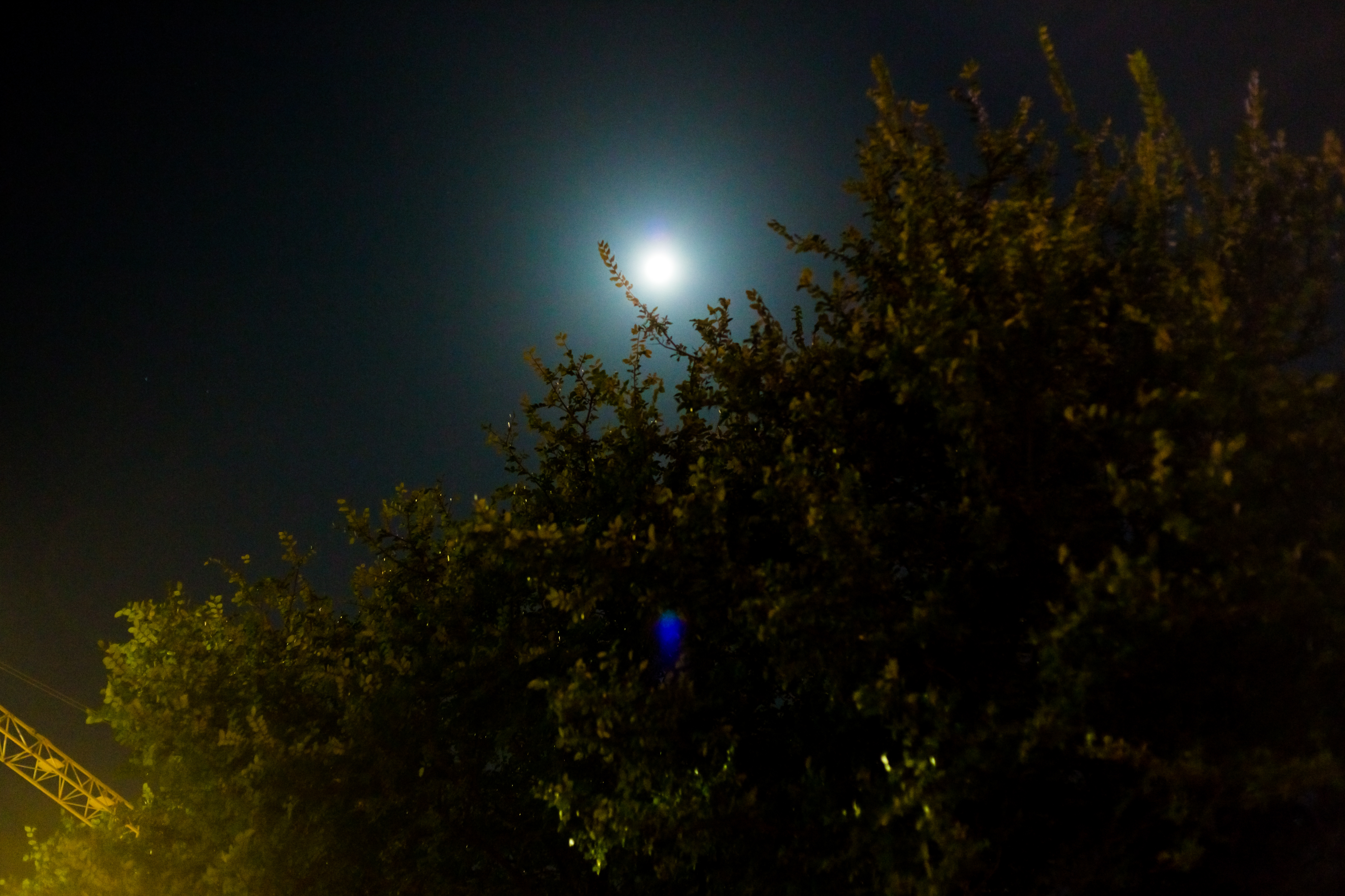4c6a0718_14913108182_o