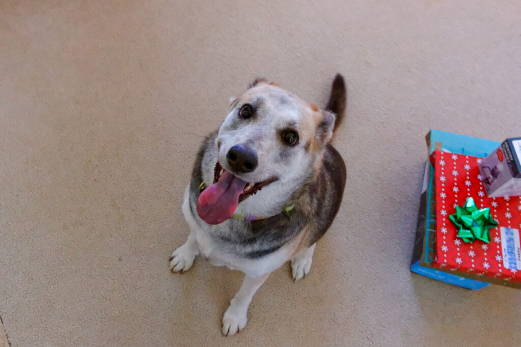 christmas_11637976933_o