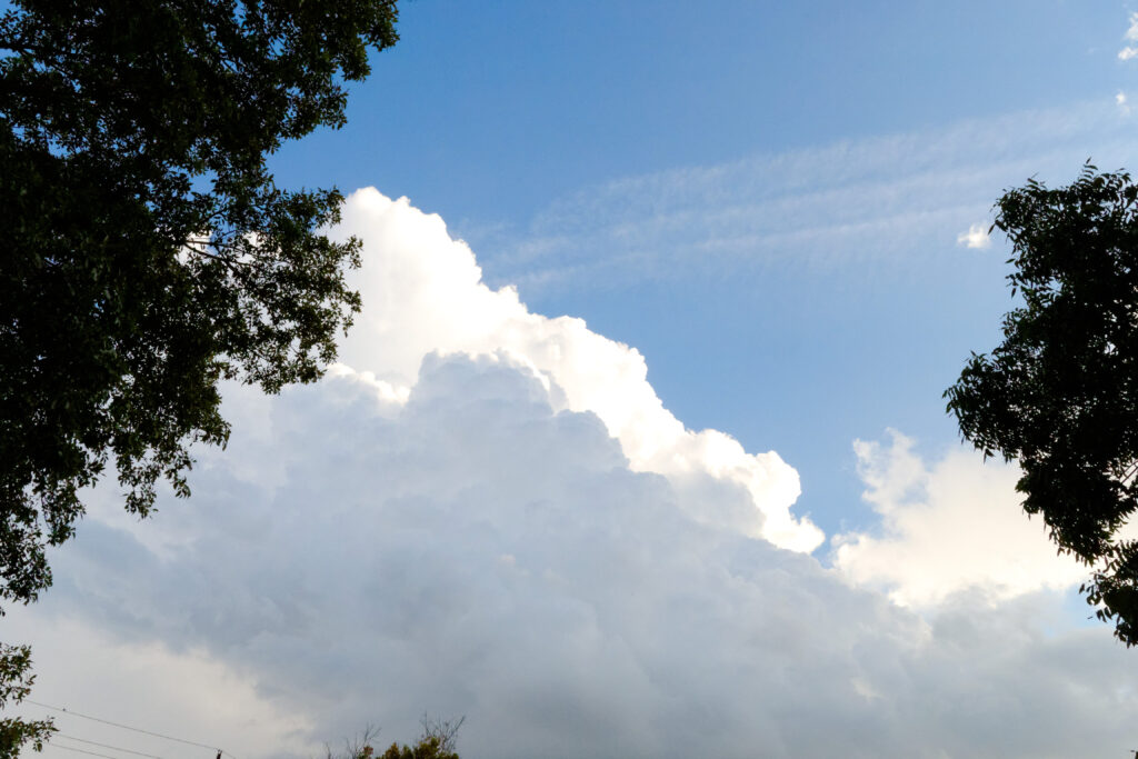 clouds-and-trees_14195048723_o