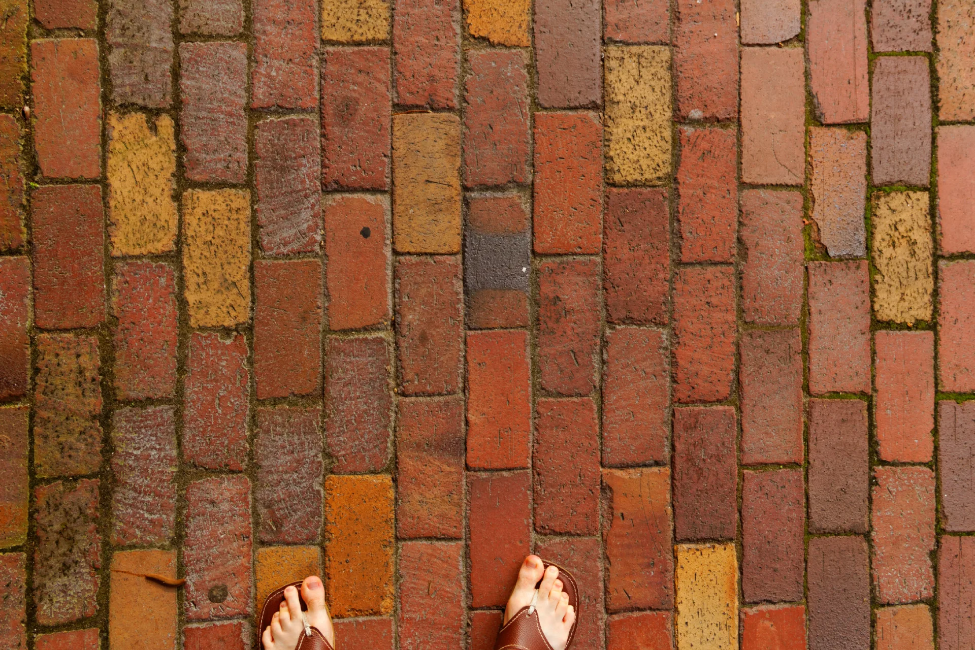 downtown-sanford-sidewalk_9294881777_o