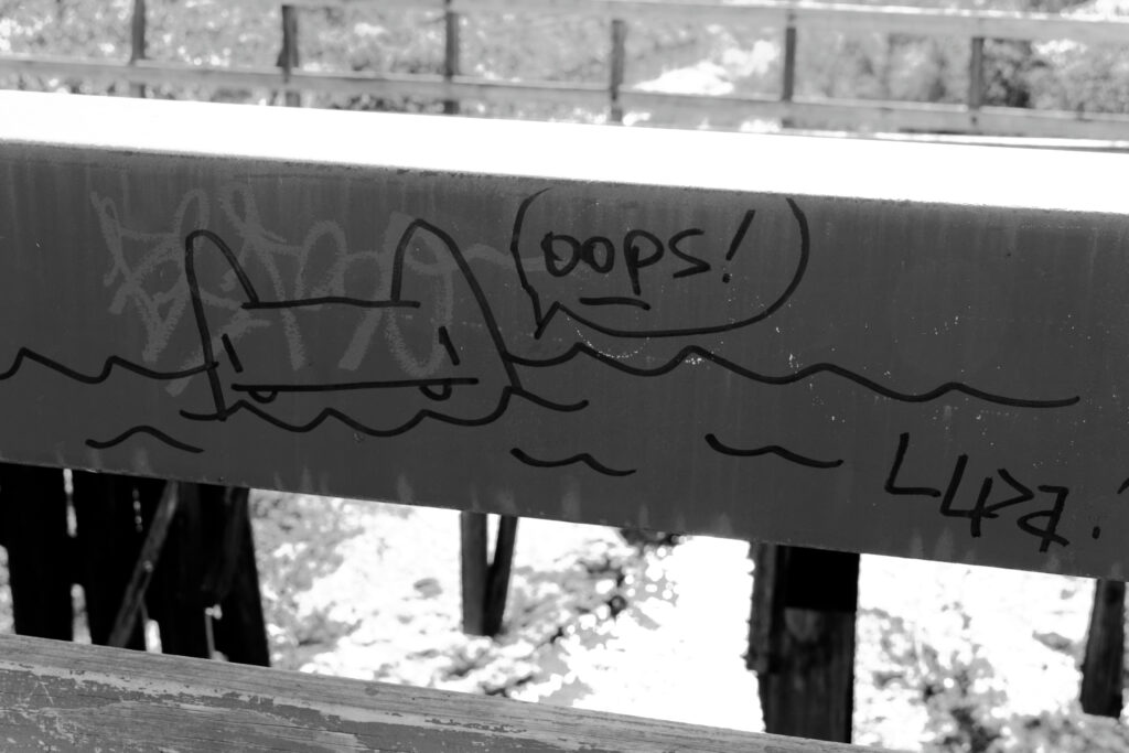 graffiti_11393369594_o