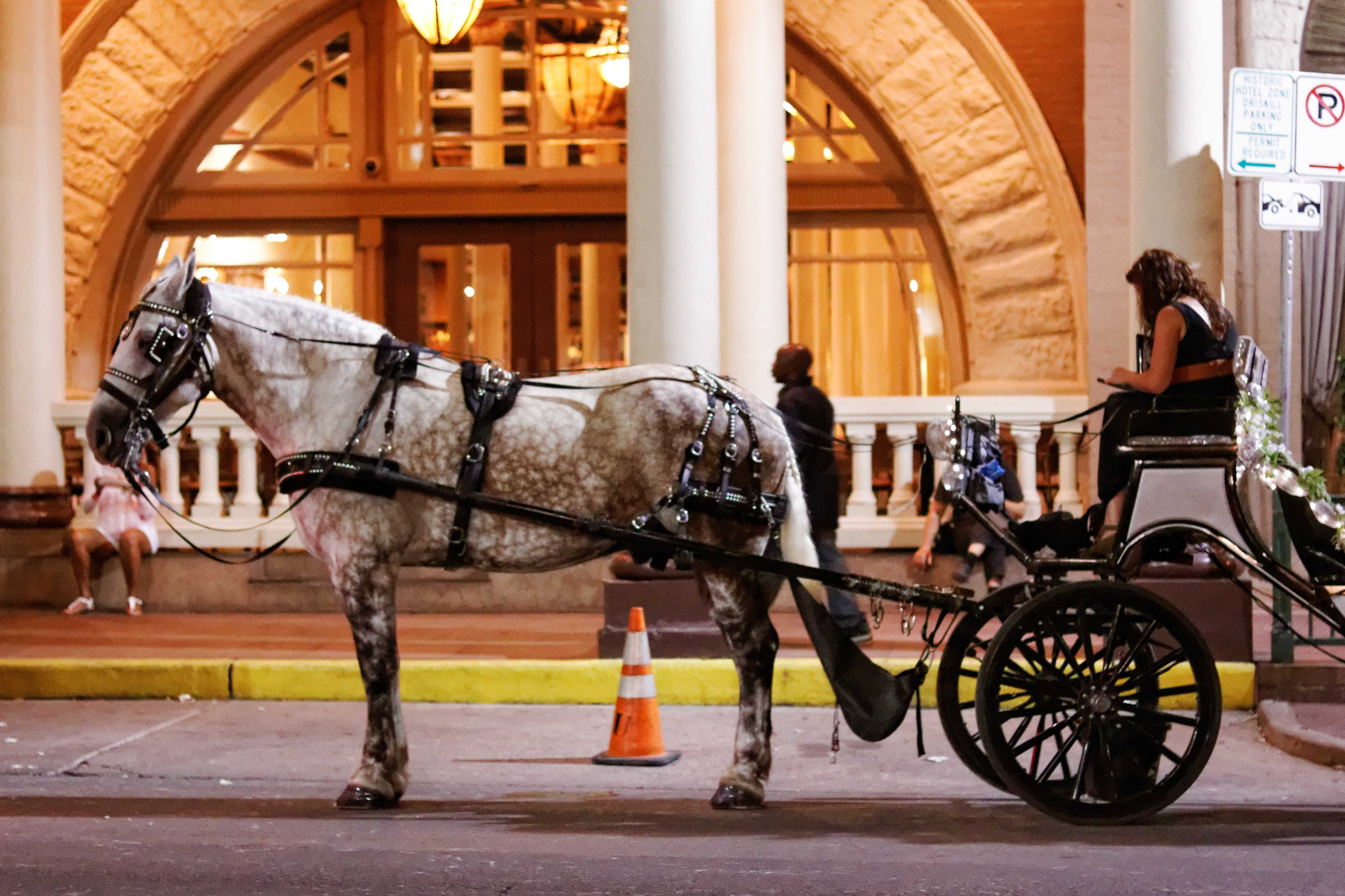 horse-and-buggy–the-driskill_14629537377_o