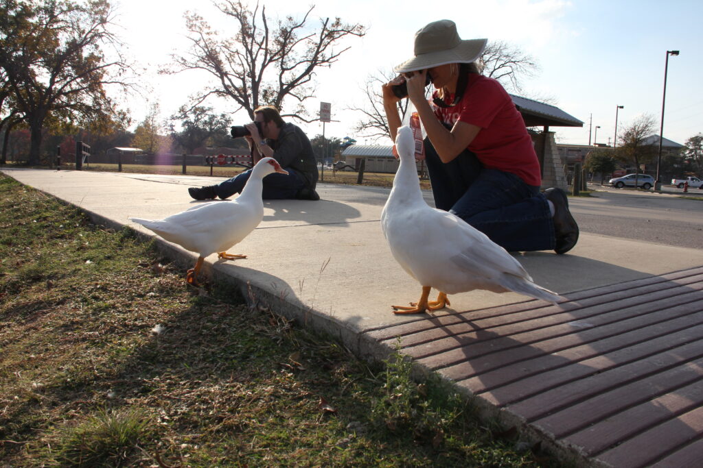 img_5474_50232495613_o