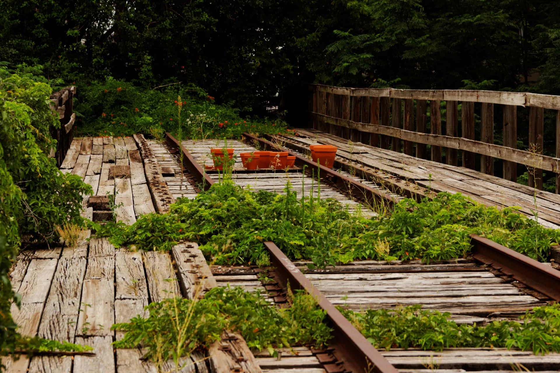 old-train-tracks_9062512513_o