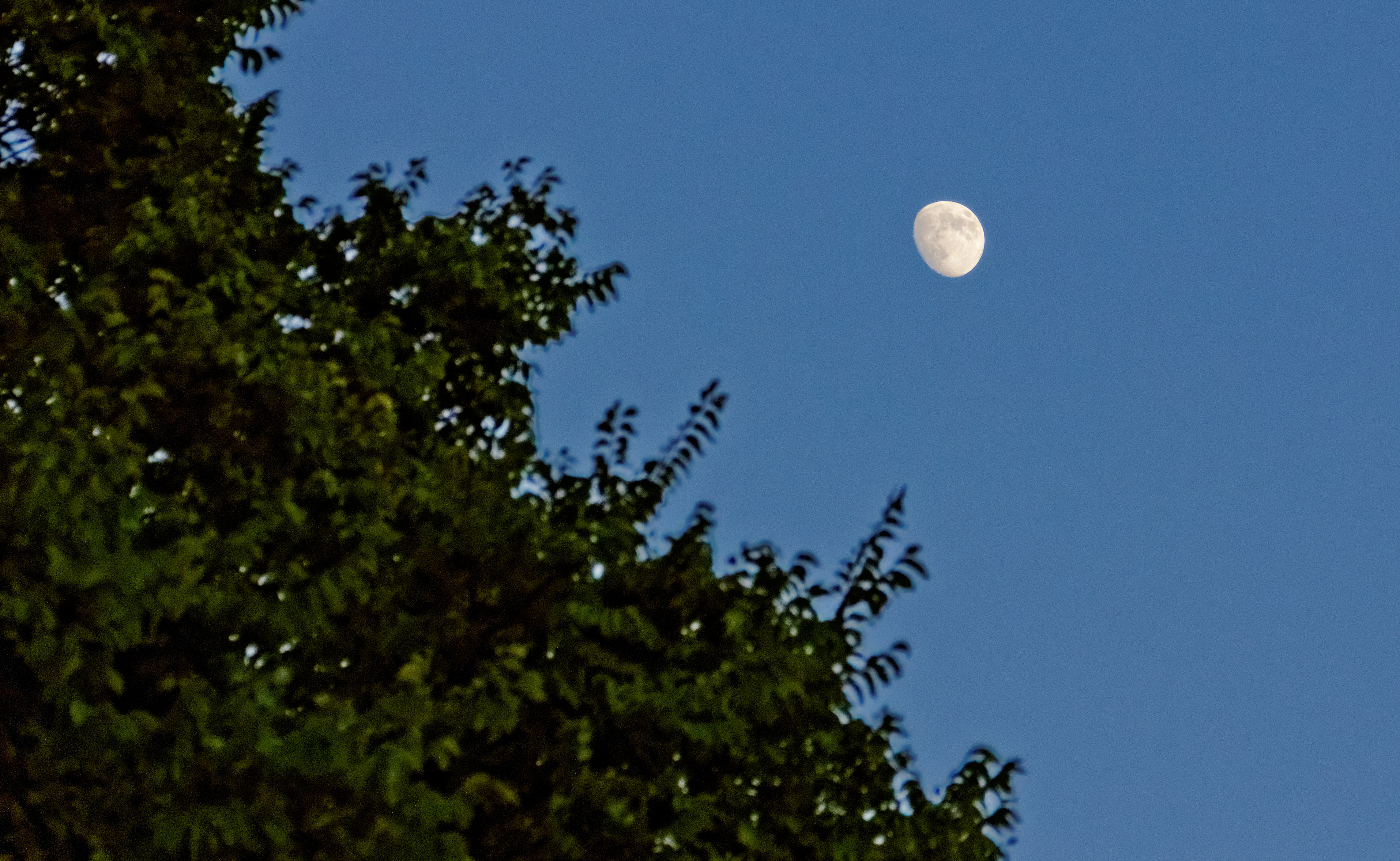 the-moon_9549991299_o