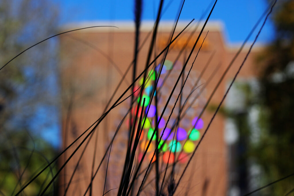 ucf-creol_11640687114_o