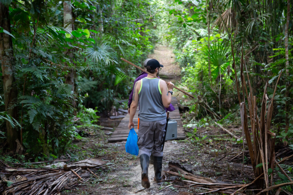 walking-through-the-jungle_31039173177_o