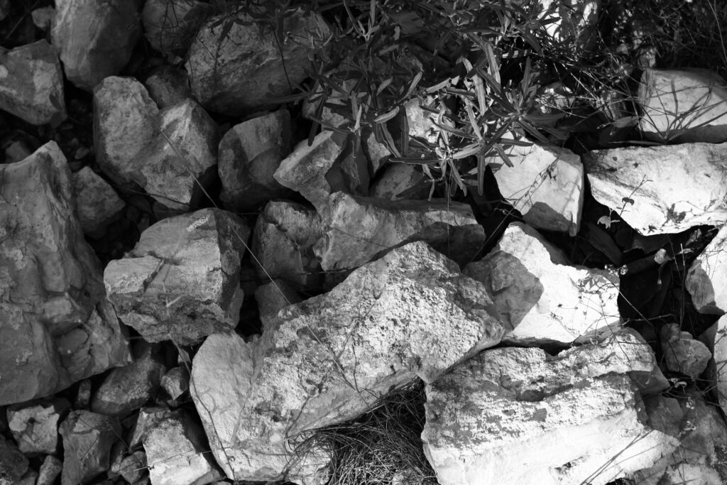 wild-basin-preserve_9643566324_o