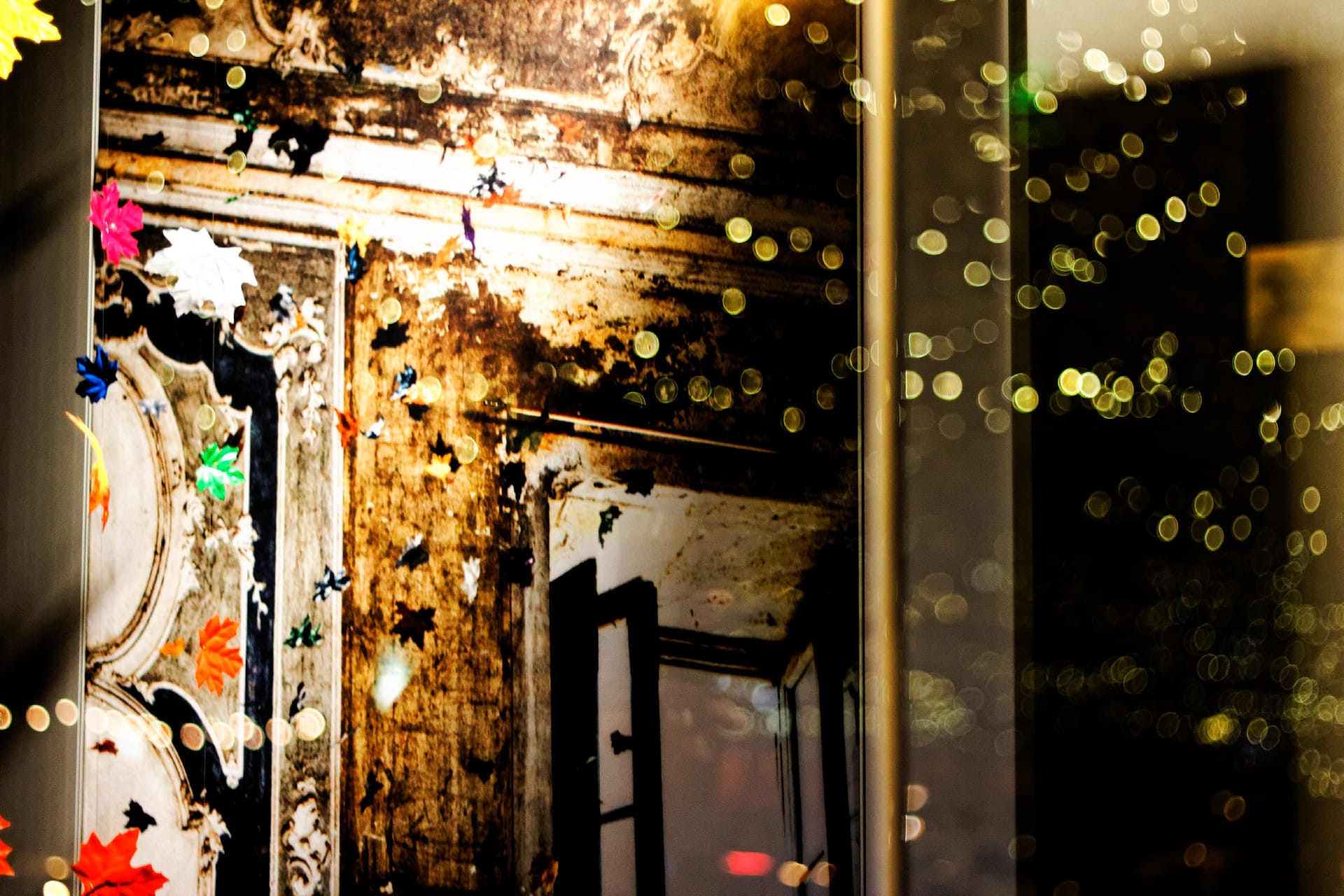 window-display_9063135109_o