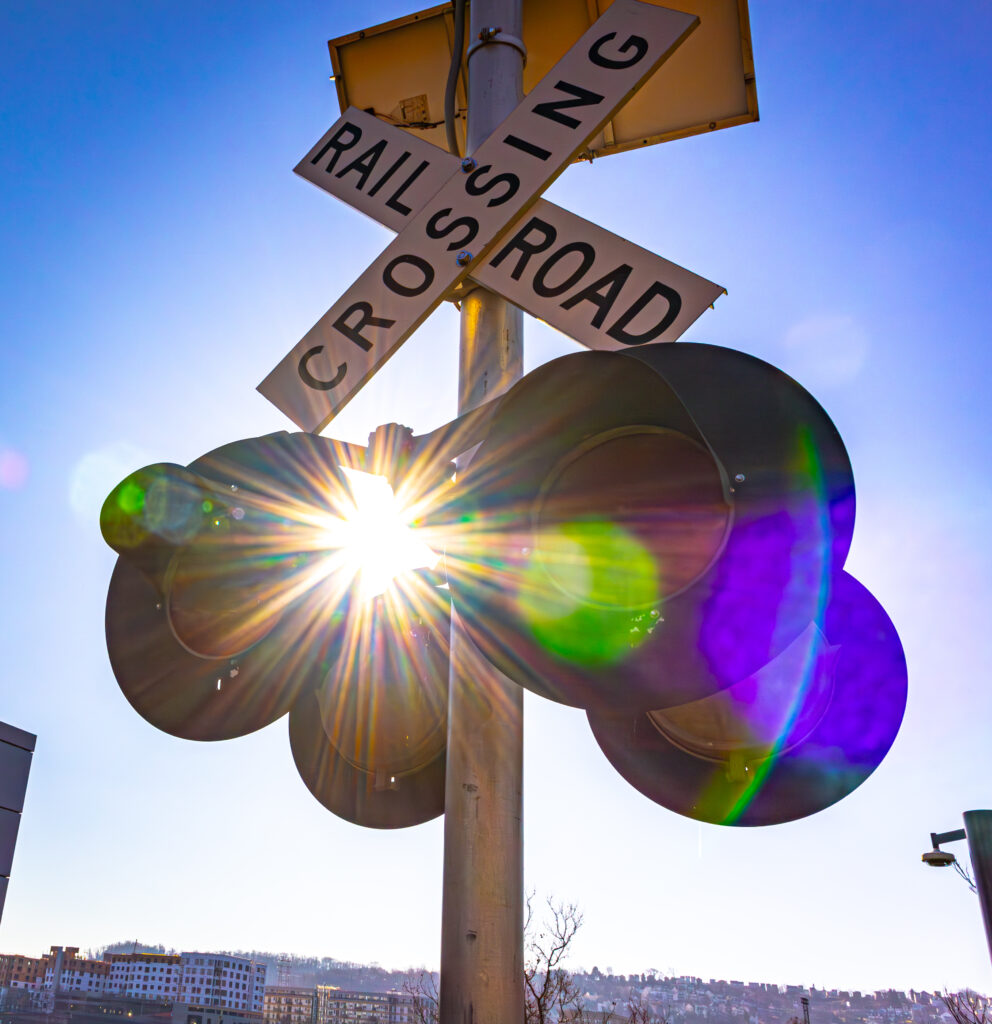 IMG_0173-Enhanced-NR