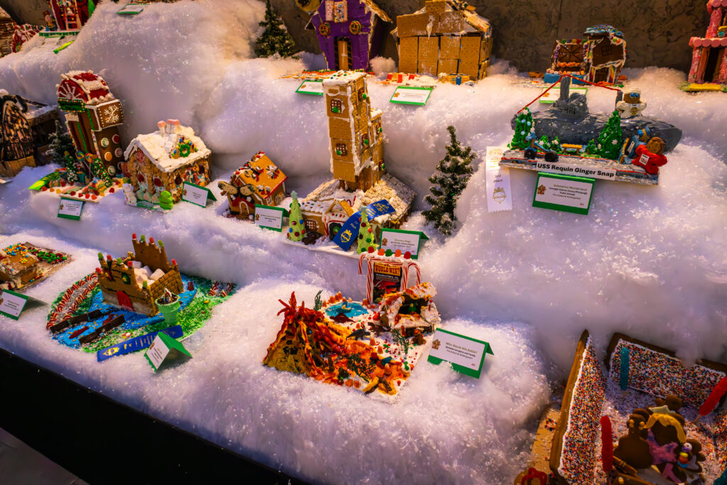 IMG_0206-Enhanced-NR