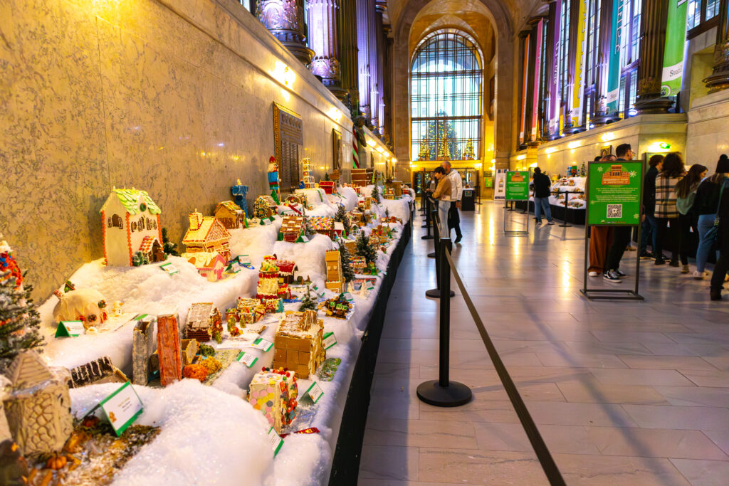 IMG_0210-Enhanced-NR