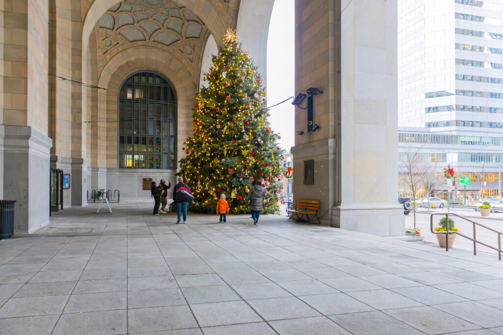 IMG_0213-Enhanced-NR