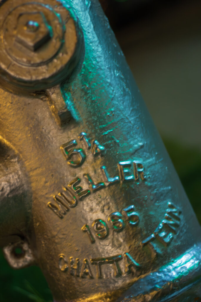 IMG_1752-Enhanced-NR