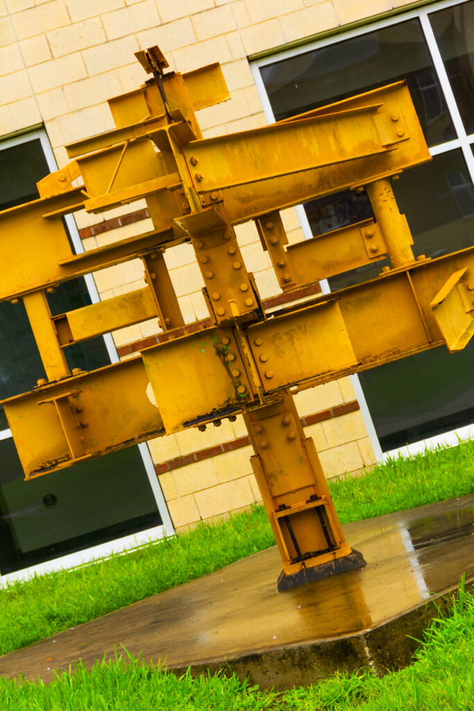 IMG_9681-Enhanced-NR