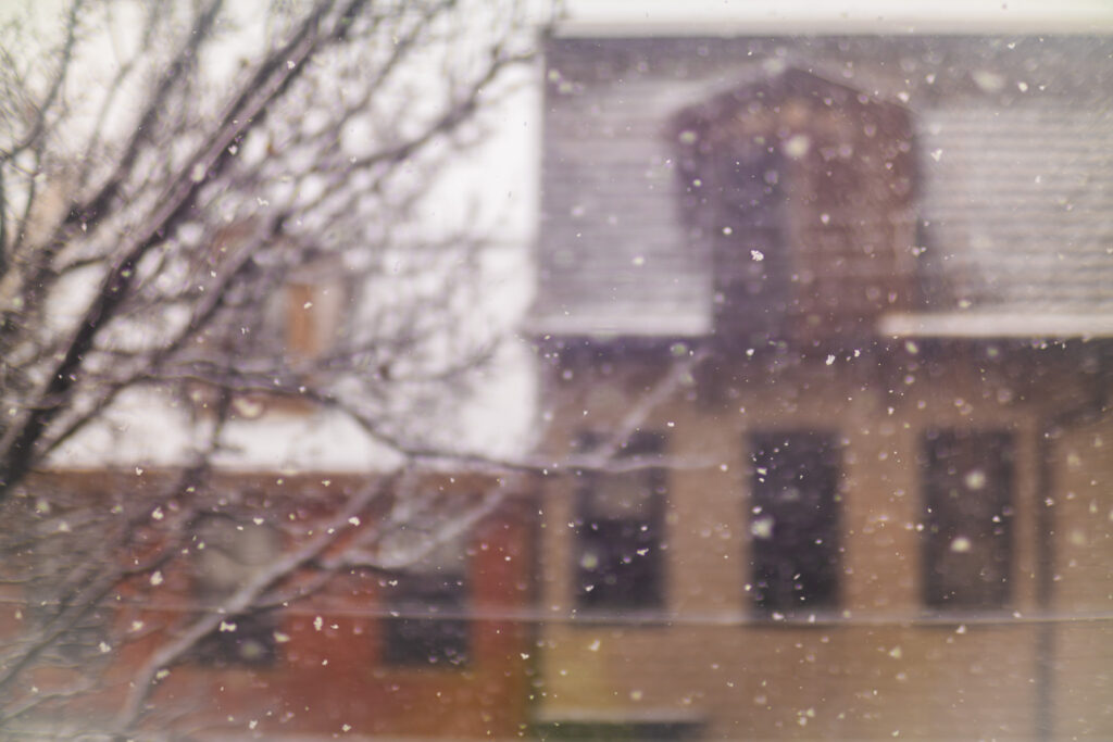 IMG_0497-Enhanced-NR