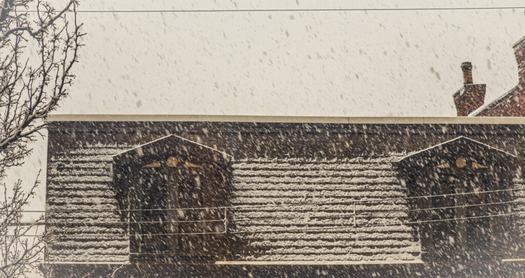 IMG_0665-Enhanced-NR