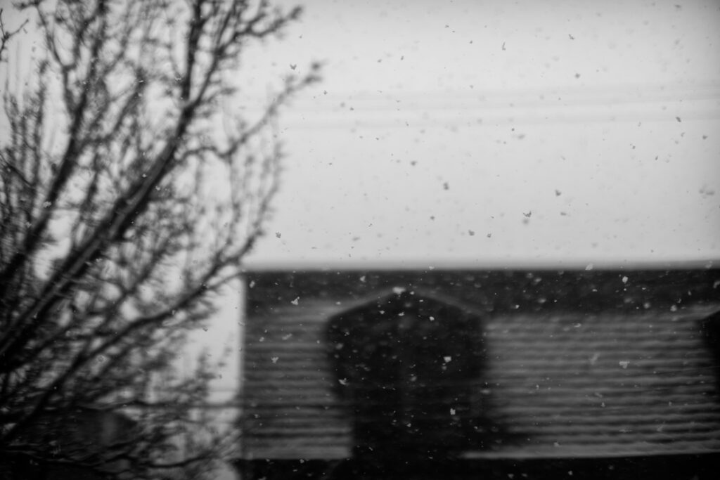 IMG_0766-Enhanced-NR