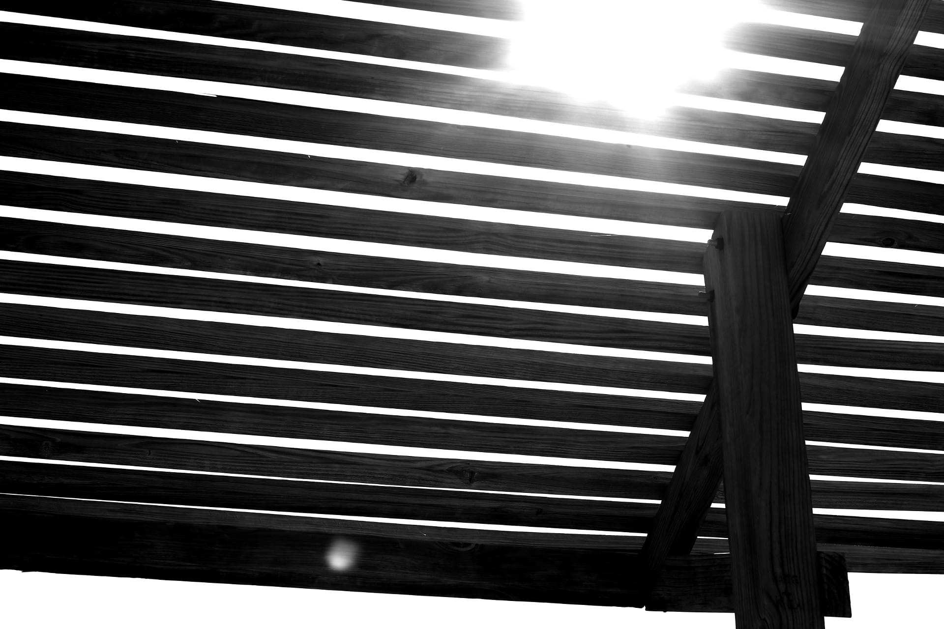 IMG_8048_tb